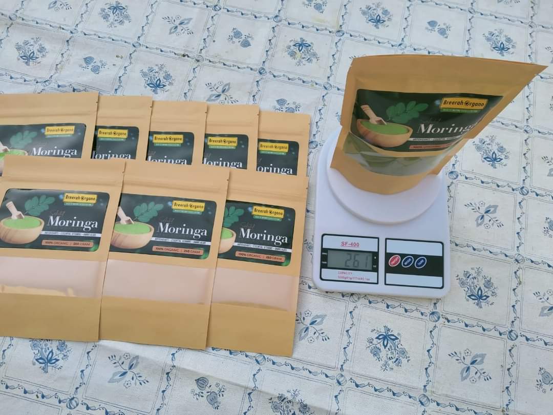 moringa 1